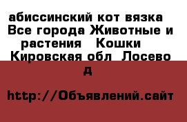 абиссинский кот вязка - Все города Животные и растения » Кошки   . Кировская обл.,Лосево д.